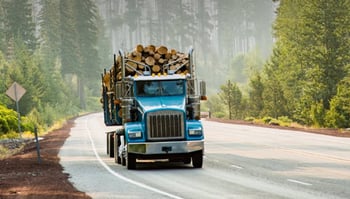 Loaded logging truck traveling on roadway