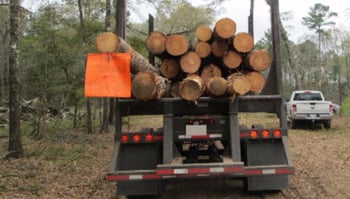 Loaded log trailer